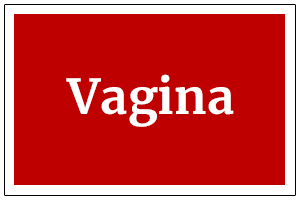 x-vagina.png